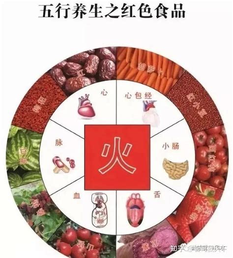 五行属金的东西|五行属金的食物有哪些 (五行属金的东西和事物)